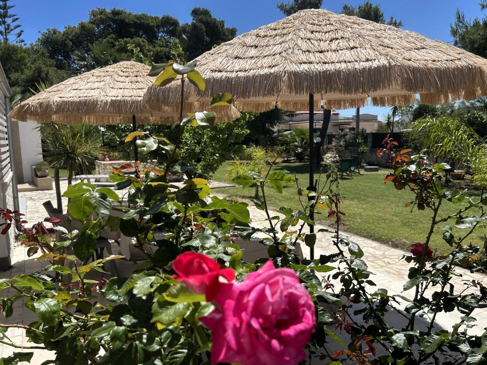 Villa Soleanna Residence 비에스테 외부 사진